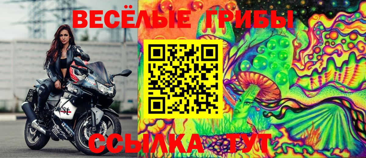 Псилоцибиновые грибы мицелий Соликамск